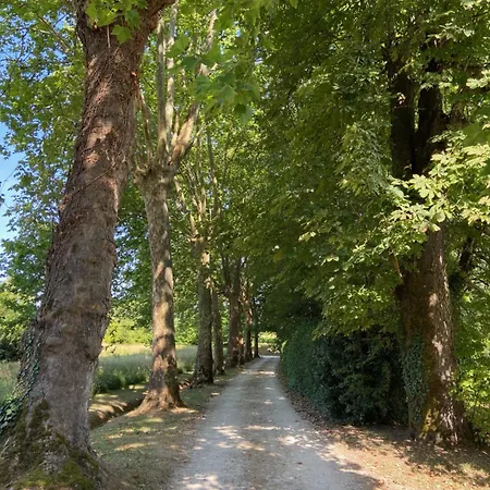 Le Des Grands Arbres * Montcaret