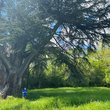 Le Des Grands Arbres Сasa de vacaciones *