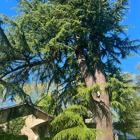 Le Des Grands Arbres Montcaret