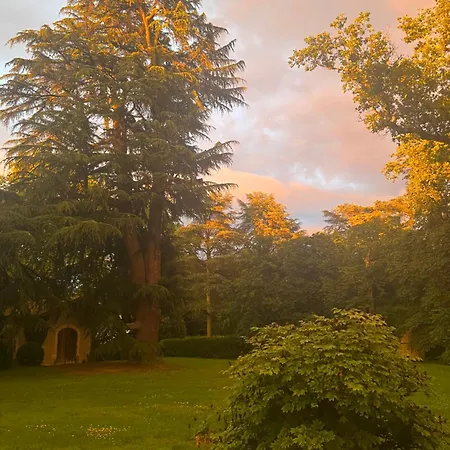 Le Des Grands Arbres *